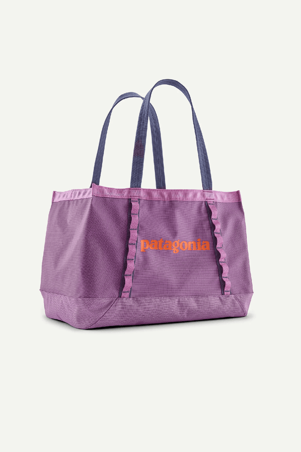 BLACK HOLE TOTE 25L - BRISK PURPLE